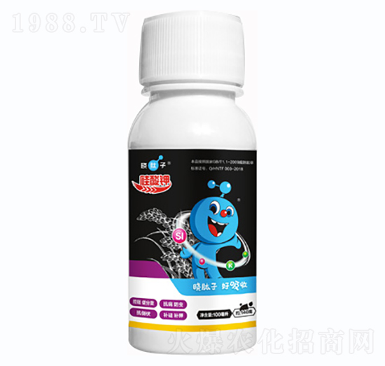 �����-�L(zh��ng)ɭ����