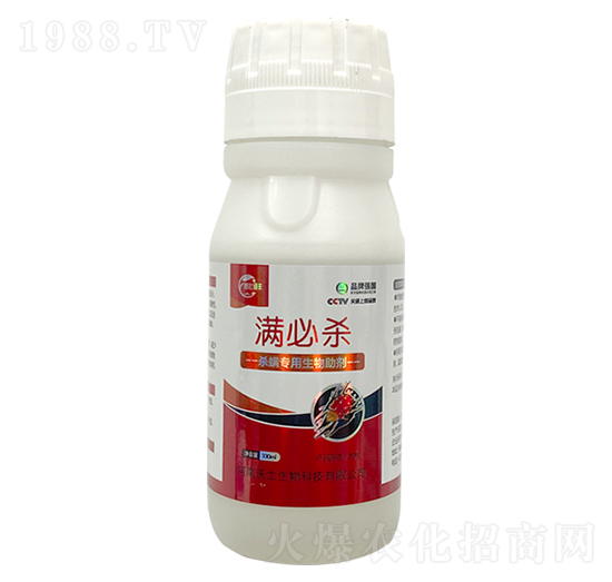 ����������������-�M����-�ډѴT�S-��������