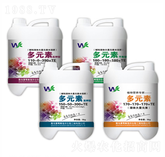 ����Ԫ�����w��-�ֿ��S