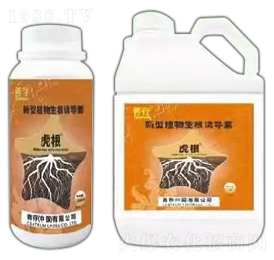 ����ֲ�������T��(d��o)��-����-�ƴ�����