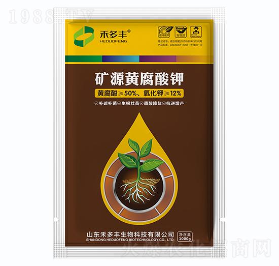 �VԴ�S�����-�̶��S