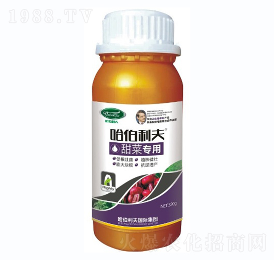 ��ˌ���-��������