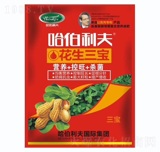 ��������-��������