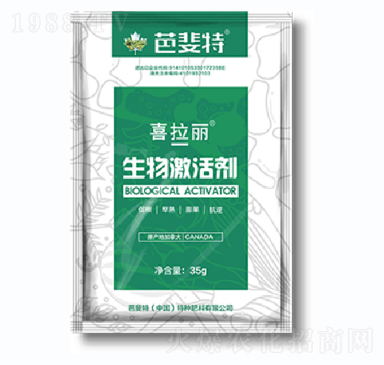 ���Ｄ�-ϲ����-�����