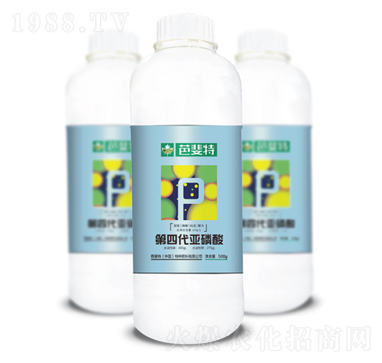 ������-�����