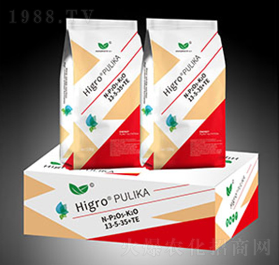 進口水溶肥13-5-35+TE-伯倫特