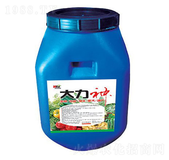 ������-���S���r-���S����