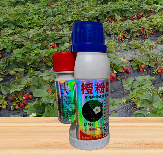 �ڷ�¶-�𲮘�(l��)