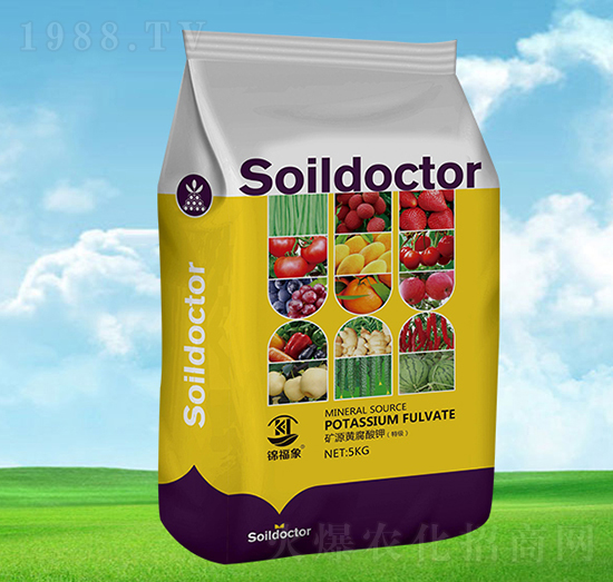 �VԴ�S�����-�\����-�S���r�I(y��)