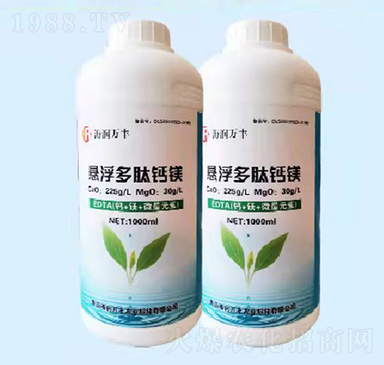 �Ҹ������}�V-����(r��n)�f(w��n)�S