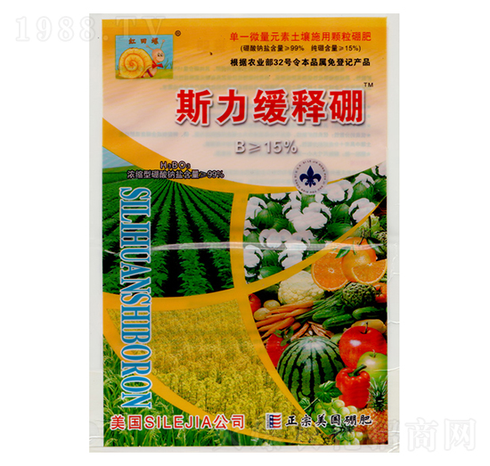 ˹�������-�|�r����