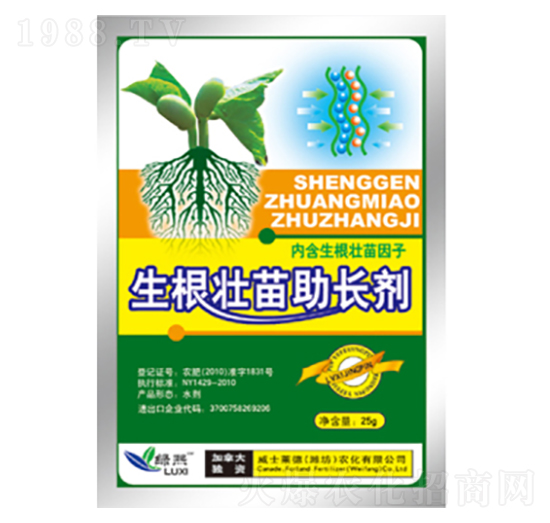 �����������L(zh��ng)��-�G��-��ʿ�R��