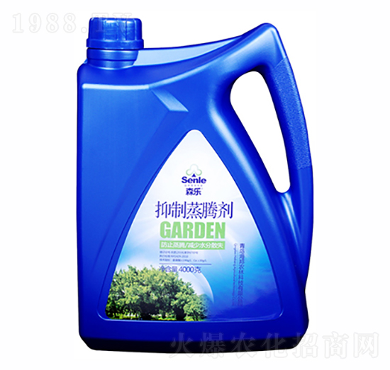 �������v��-ɭ��(l��)-�����r(n��ng)��