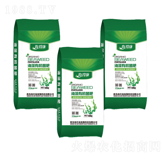 �����ЙC(j��)����-���ᭇ