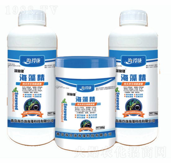 ���徫-���ᭇ