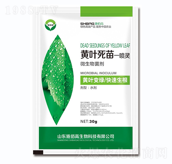 ΢�������-�S�~����һ���`-ʩ�۸�