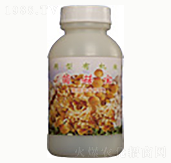 ������-�n����