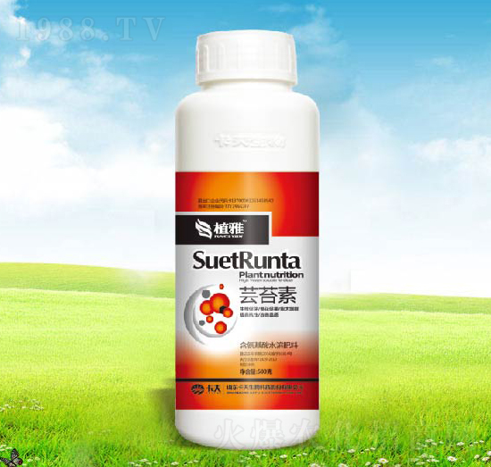 �|̦��-������