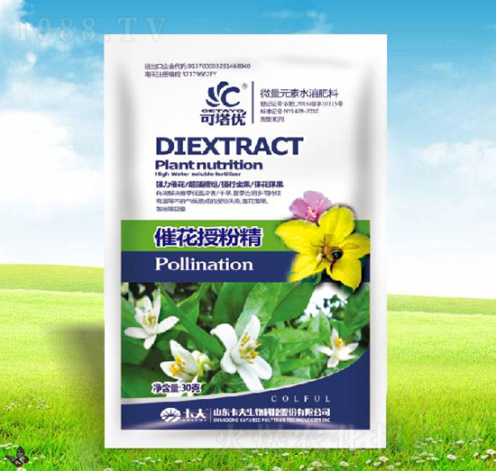 �߻��ھ���-������(y��u)-������