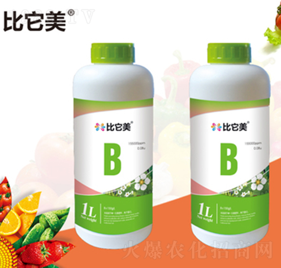 ���������-���{�r(n��ng)��