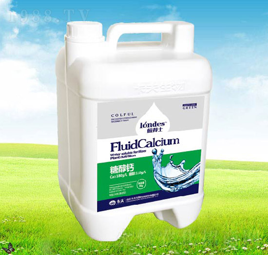 �{��ʿ�Ǵ��}-����