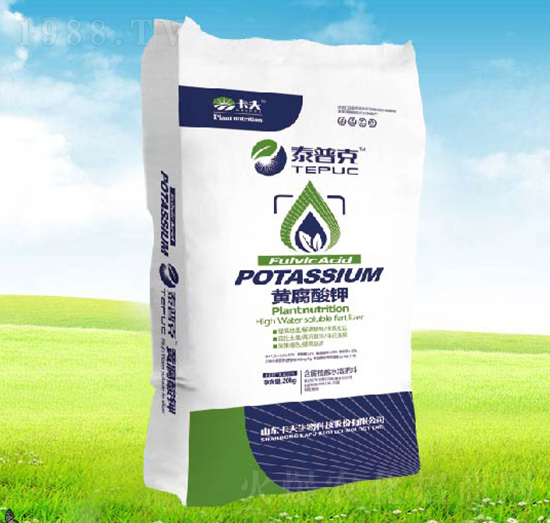 ̩�տ��S�����-����