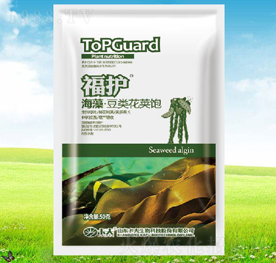 ���嶹�(l��i)���v�-���o(h��)-����