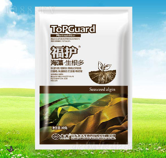 ����������-���o(h��)-����