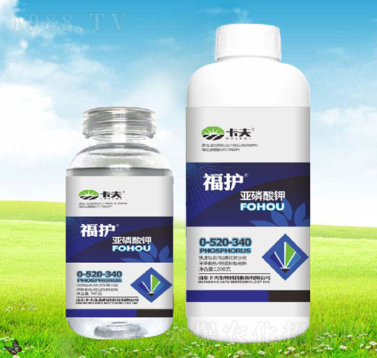 �������-���o-����