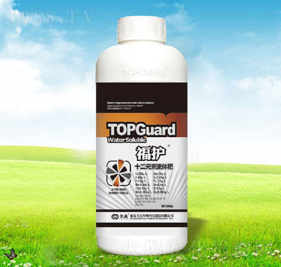 ���oʮ��Ԫ�����w��-����