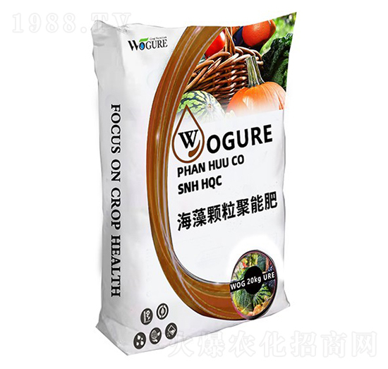 �����w�����ܷ�-�ָ���