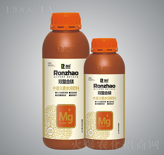 �p�����V-�����r�I(y��)