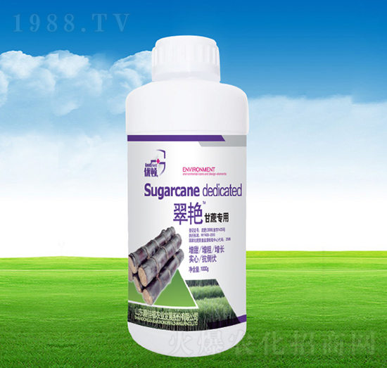 ���G���ጣ��-�μѸ�