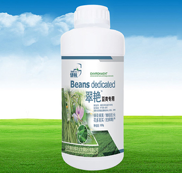 ���G�����-�μѸ�