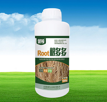 �����-�μѸ�