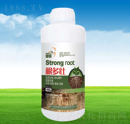 ������-�μѸ�