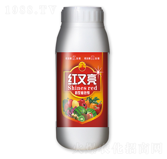 �t����������ɫ��-��������