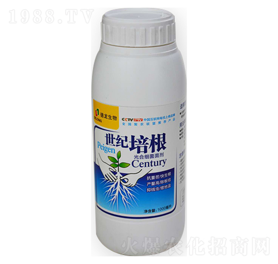 ��ϼ�(x��)������-���o(j��)���-��������