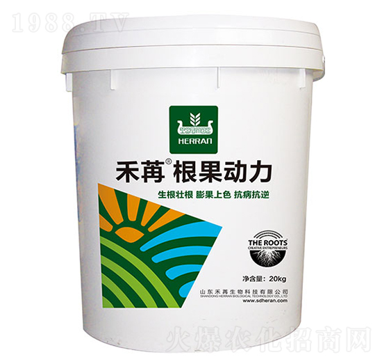 ���ۡ���������-��������