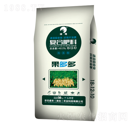 �ͺϷ���18-12-10-�����-�P�����d