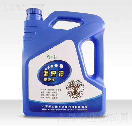 �����-������-��(gu��)�S�ʘI(y��)