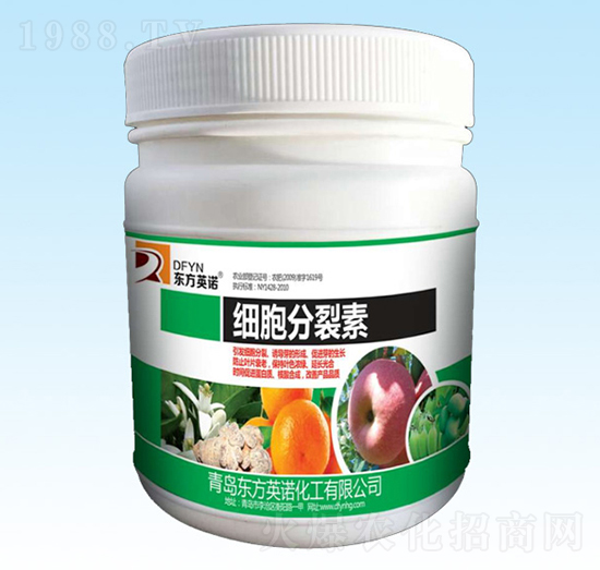 Ͱ�b����������-�|��Ӣ�Z