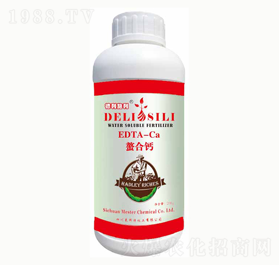 ����˹�������}-㑝�(r��n)����