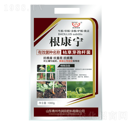 �ݲ�ѿ�ߗU��-������-�������