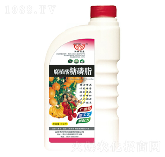 ��ֲ������֬-�������