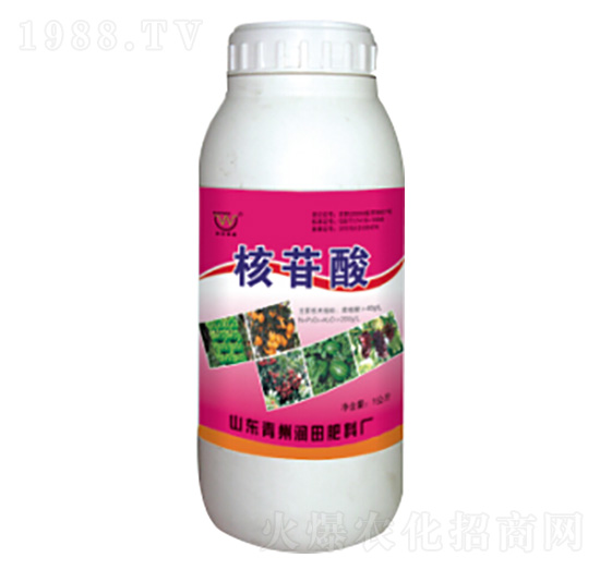 ƿ�b�������~���-�������