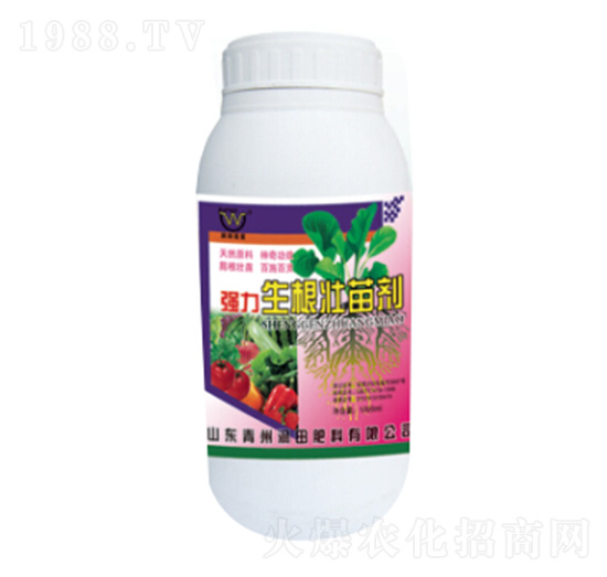 ƿ�b��(qi��ng)���������焩-�������