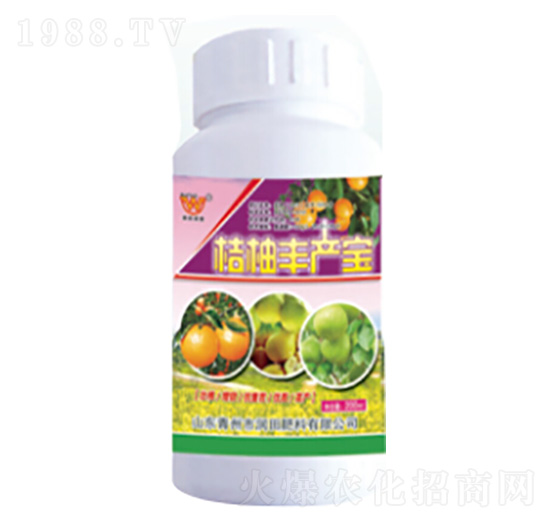 �����S�a(ch��n)��-�������