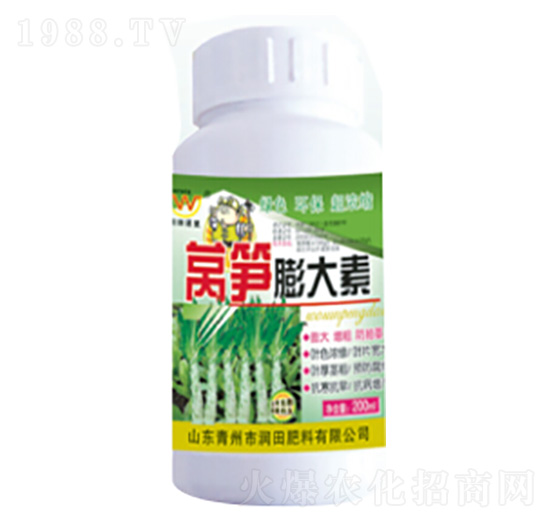 �n�S�����-�������