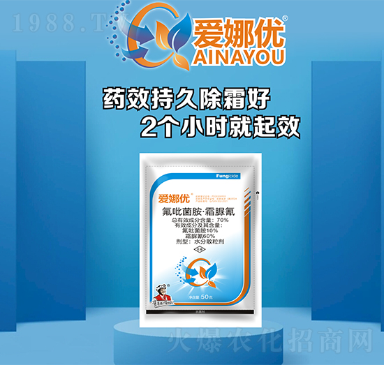 70%����������˪����-���ȃ�(y��u)-���r����